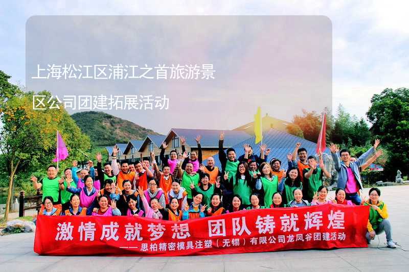 上海松江区浦江之首旅游景区公司团建拓展活动
