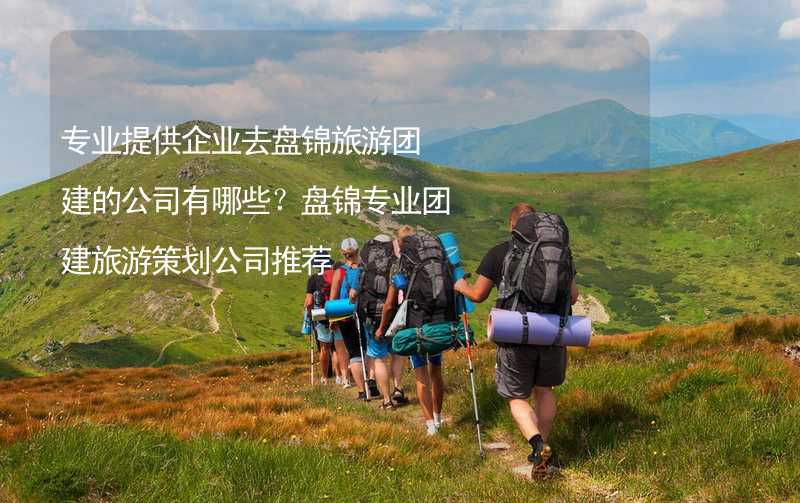 专业提供企业去盘锦旅游团建的公司有哪些？盘锦专业团建旅游策划公司推荐_2