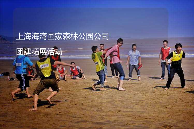 上海海湾国家森林公园公司团建拓展活动