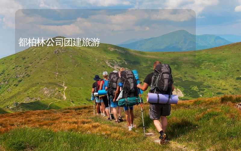 都柏林公司团建旅游