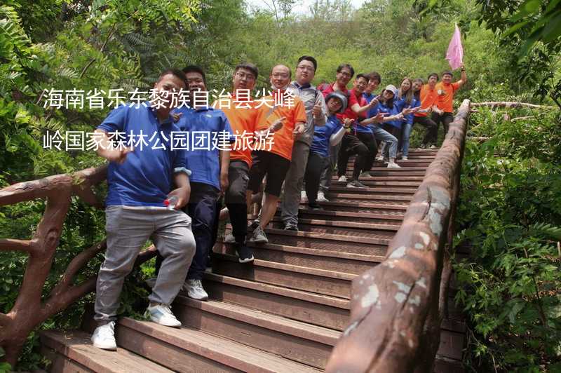 海南省乐东黎族自治县尖峰岭国家森林公园团建旅游