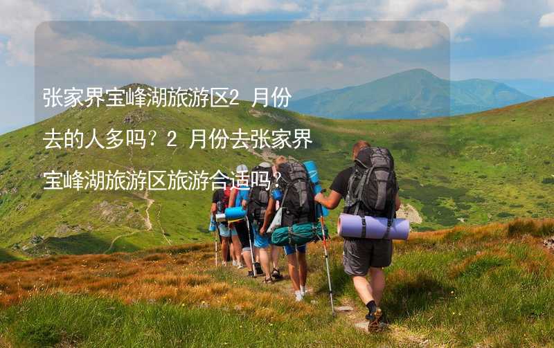 张家界宝峰湖旅游区2月份去的人多吗？2月份去张家界宝峰湖旅游区旅游合适吗？