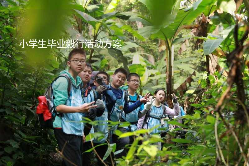 小學生畢業(yè)毅行活動方案_1