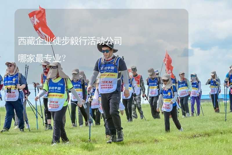 西藏企业徒步毅行活动公司哪家最专业？