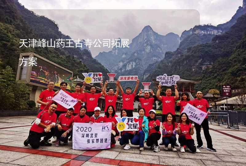 天津峰山药王古寺公司拓展方案