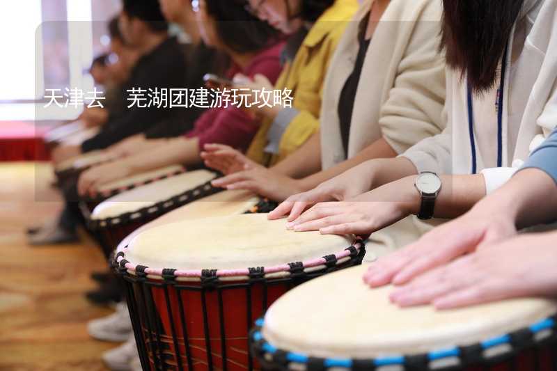 天津去 芜湖团建游玩攻略