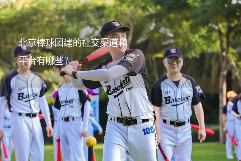 北京棒球团建的社交渠道和平台有哪些？