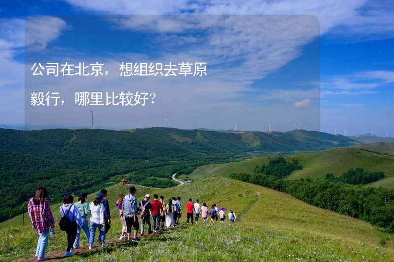 公司在北京，想组织去草原毅行，哪里比较好？