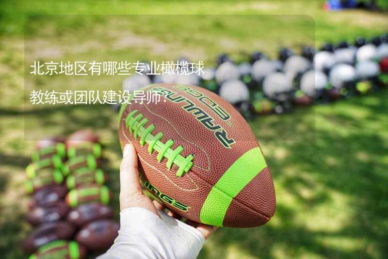 北京地区有哪些专业橄榄球教练或团队建设导师？