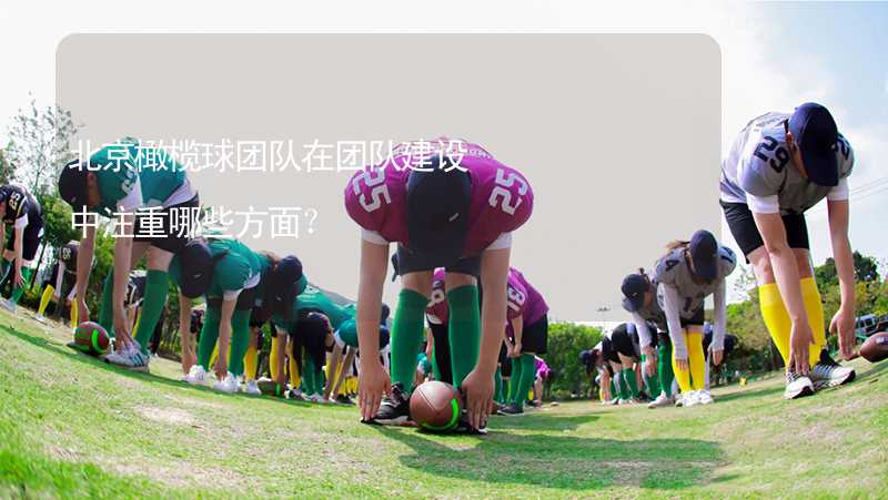 北京橄榄球团队在团队建设中注重哪些方面？