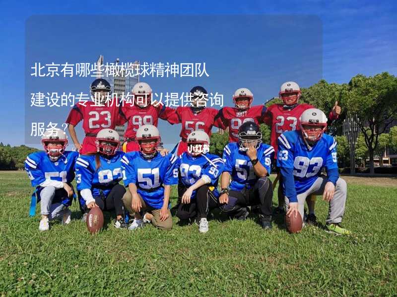 北京有哪些橄榄球精神团队建设的专业机构可以提供咨询服务？