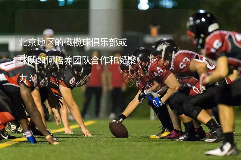 北京地区的橄榄球俱乐部或球队如何培养团队合作和凝聚力？