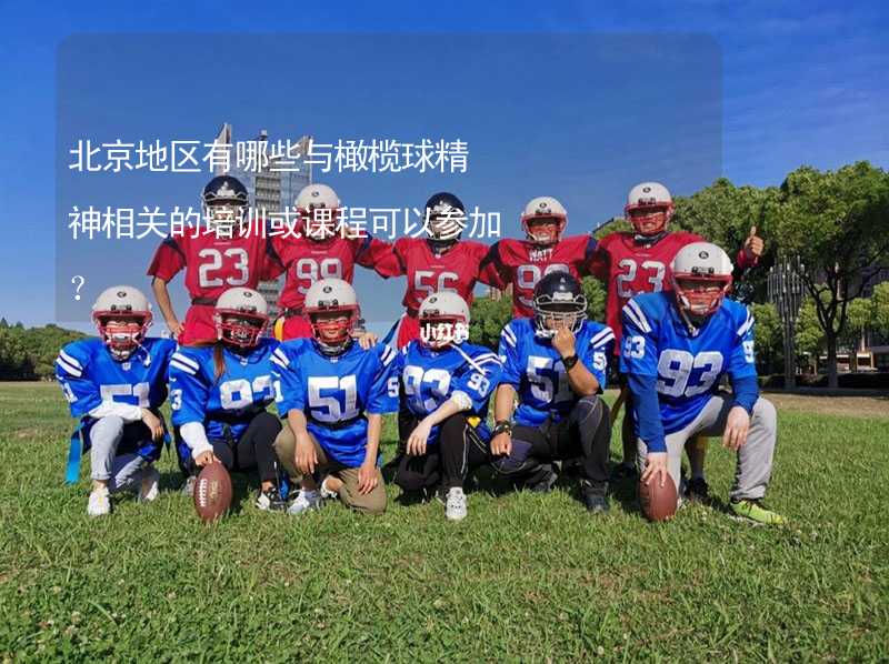 北京地区有哪些与橄榄球精神相关的培训或课程可以参加？