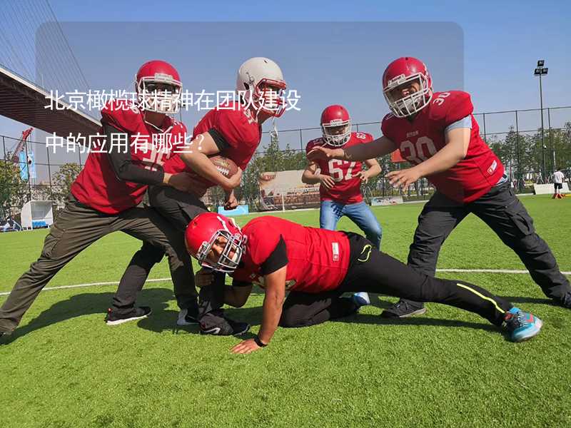 北京橄榄球精神在团队建设中的应用有哪些？_1