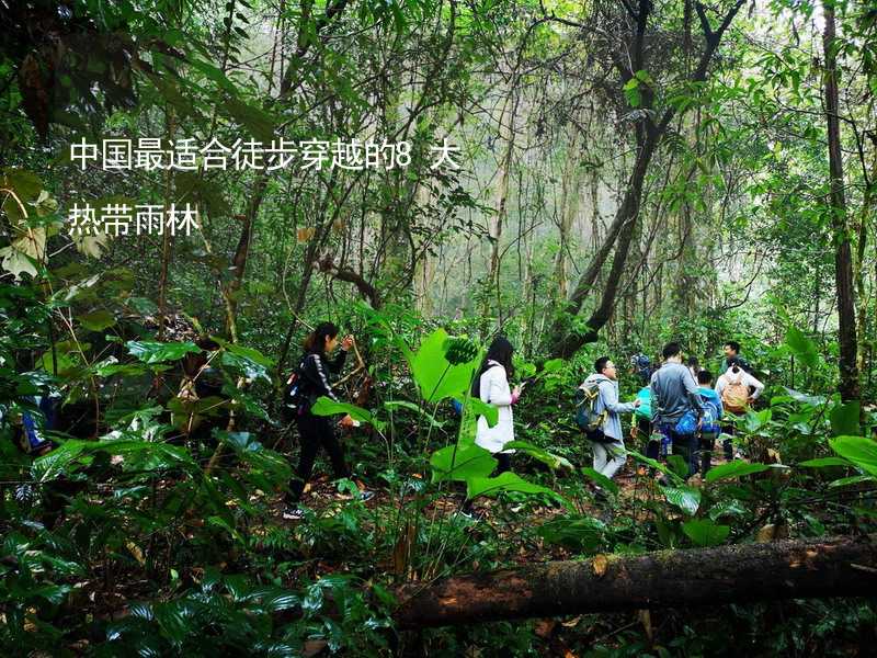 中国最适合徒步穿越的8大热带雨林_2