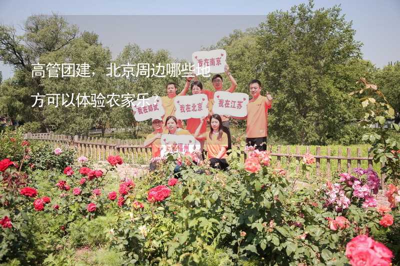 高管团建，北京周边哪些地方可以体验农家乐？_1