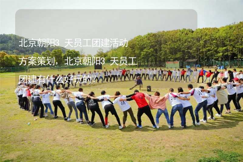 北京朝阳3天员工团建活动方案策划，北京朝阳3天员工团建有什么好玩的？