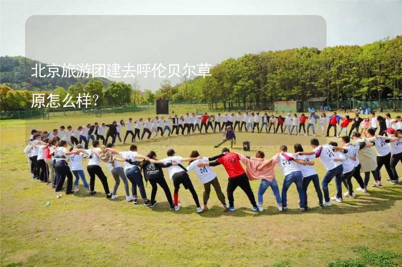 北京旅游团建去呼伦贝尔草原怎么样？