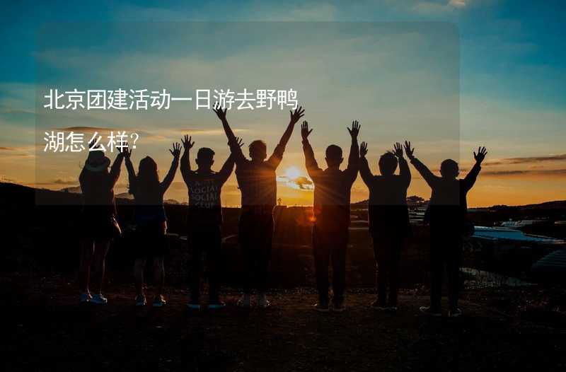 北京团建活动一日游去野鸭湖怎么样？