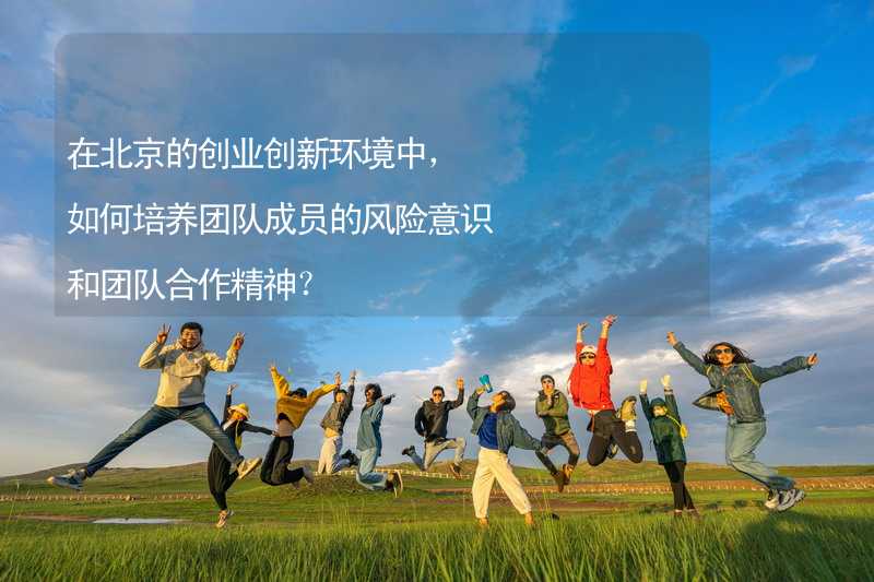 在北京的创业创新环境中，如何培养团队成员的风险意识和团队合作精神？