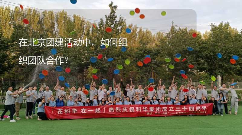 在北京团建活动中，如何组织团队合作？