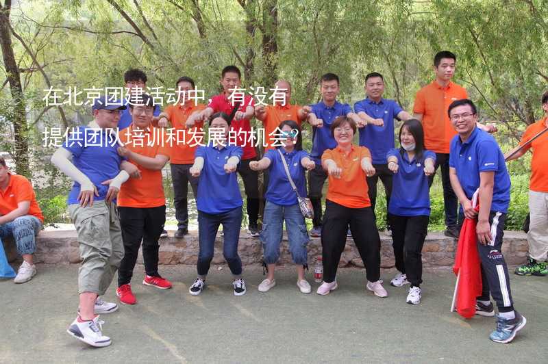 在北京团建活动中，有没有提供团队培训和发展的机会？