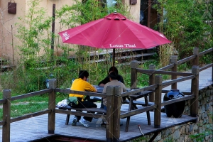 泰莲庭度假酒店|Lotus Thai