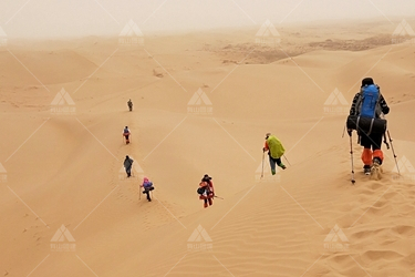 库布其沙漠治沙路上的英雄都有谁？