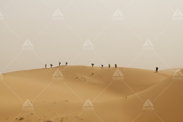库布其沙漠新闻概况里“绿进沙退”的大漠传奇