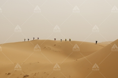 对话库布其沙漠-中国治理得最“快”的沙漠