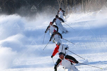 如何选购适合自己团队的滑雪双板？