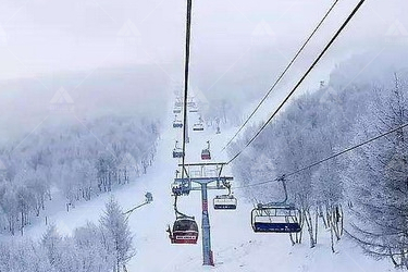 滑雪团建快乐多 滑雪缆车坐一坐
