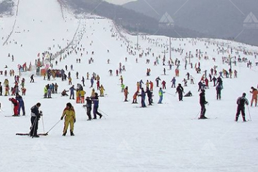 滑雪团建，怎样挑选滑雪的滑板