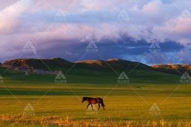 西乌珠穆沁草原