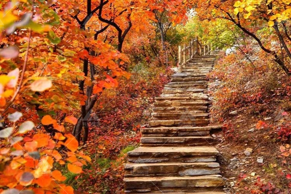 北京的10月正是秋季徒步赏景和团建旅游的最佳月份！