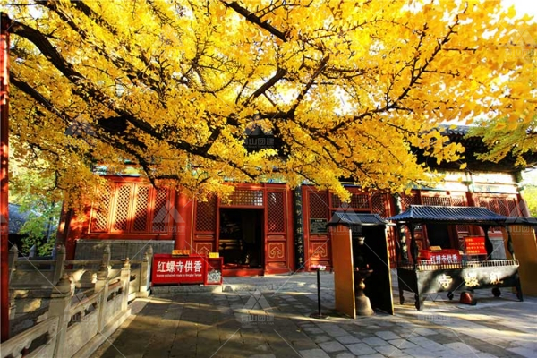 團(tuán)建推薦：“懷柔八景”之一紅螺寺