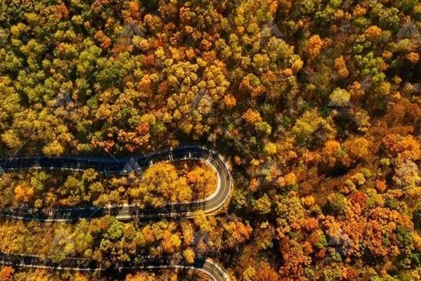北京怀柔团建：探寻不一样的怀柔风景，见证秋天的魅力