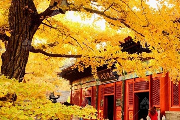 北京1日团建：赏历经千年始终兴盛不衰的名山古刹红螺寺