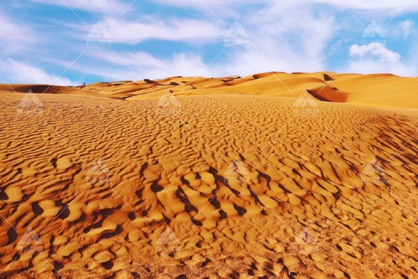【库布齐沙漠三日】千树计划苍茫大漠、依沙而憩