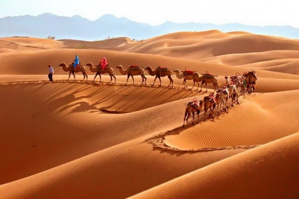 【腾格里沙漠六日】沙漠知行主题徒步+休闲放松穿越茫茫沙漠 拥抱璀璨星河