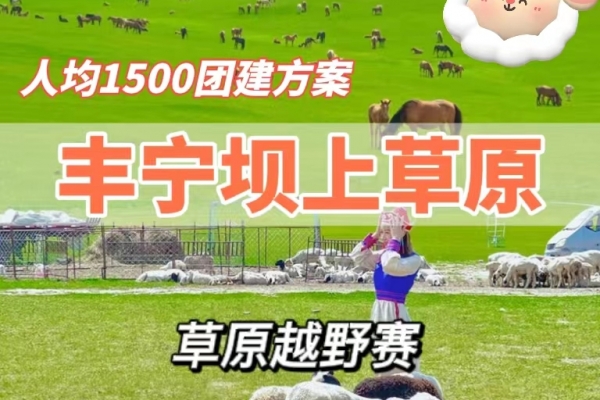 人均1500就能玩尽的草原团建项目，多种玩法任你选