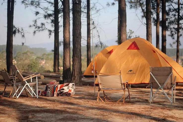如何规避野外团建露营活动中可能会带来的风险？