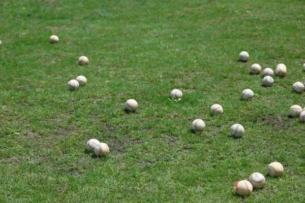 如何策划好丰宁坝上草原上的棒球团建活动呢？