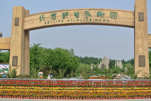 走进动物世界 北京野生动物园1日主题团建