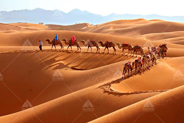 【騰格里沙漠三日】徒步遠征到遠方和心靈最美的一頁相遇 探尋騰格里沙漠