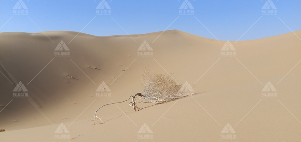 库布齐沙漠旅游区都有那些景点和好玩的地方？