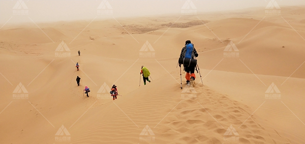 库布其沙漠的治沙经验令人惊叹！_2