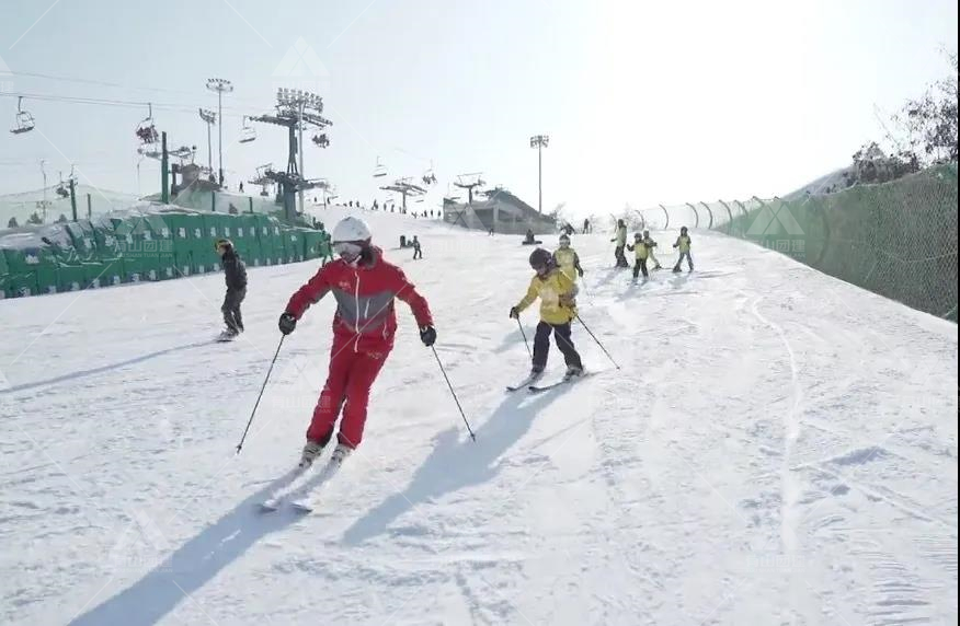 越野滑雪——冬季团队耐力训练新项目！_1