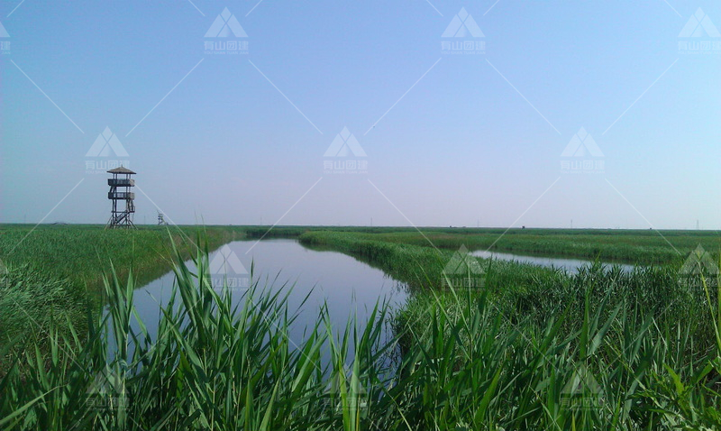 曹妃甸湿地公园_1