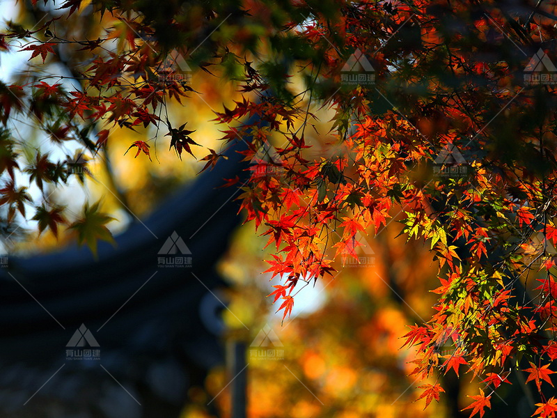 寒山寺_4